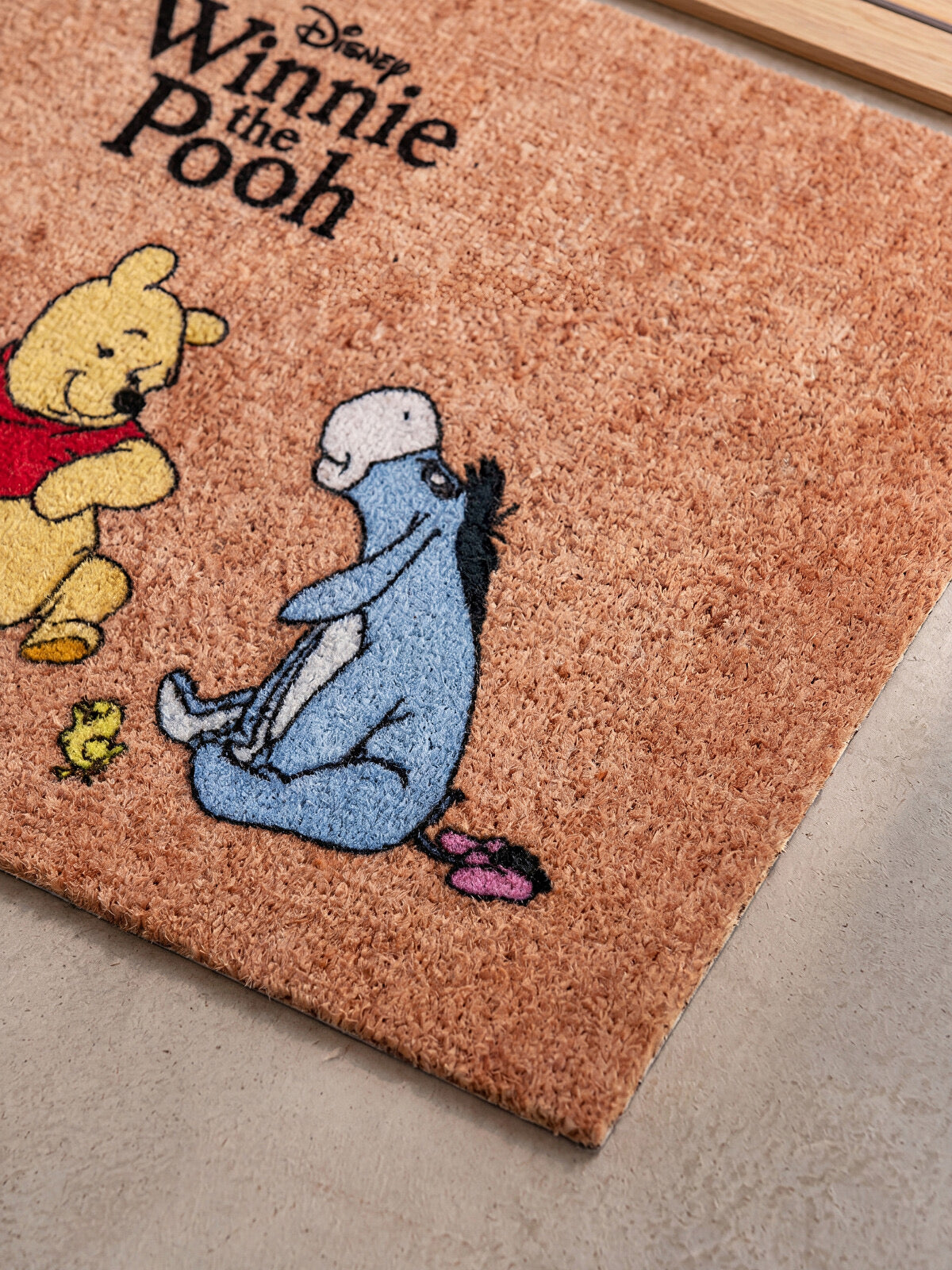 Disney Winnie the Pooh Door Mat – Non-Slip Indoor Rug (45 × 75 cm)